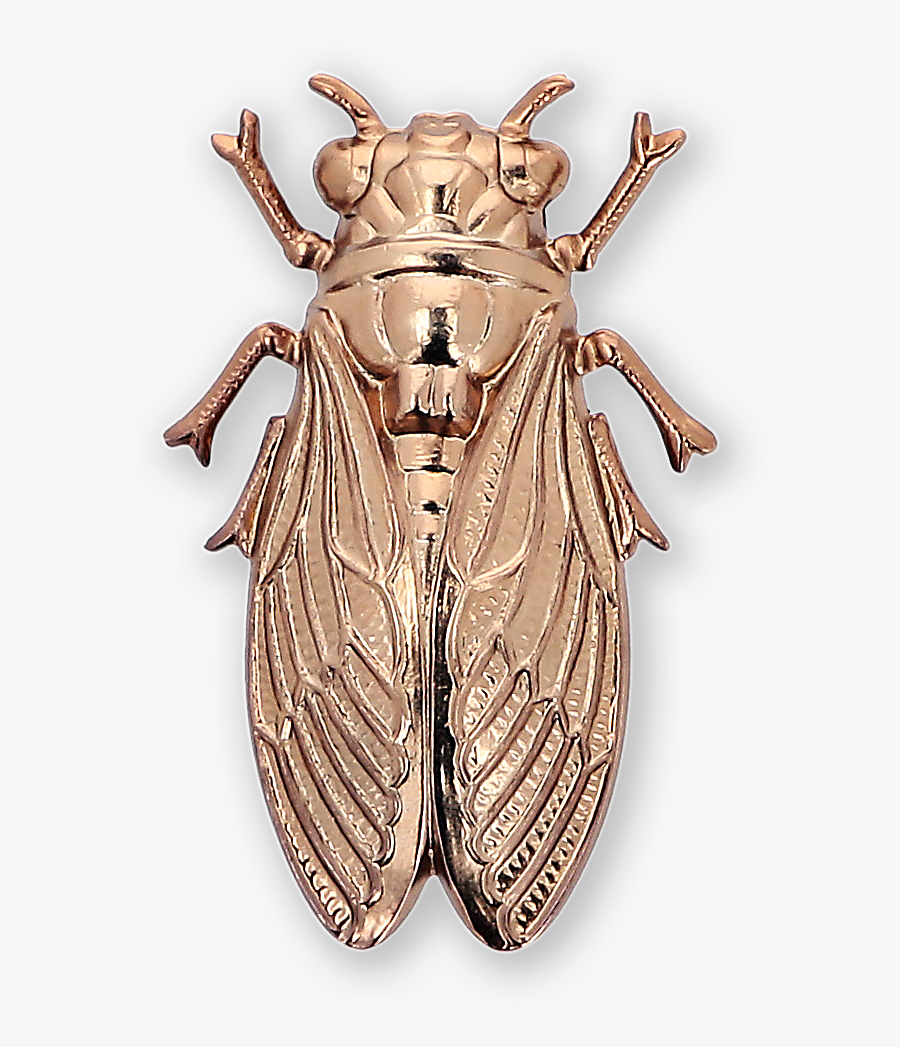 Cicada Gold-plated Brooch Ss19 Collection, Pal Zileri - Cicada, Transparent Clipart