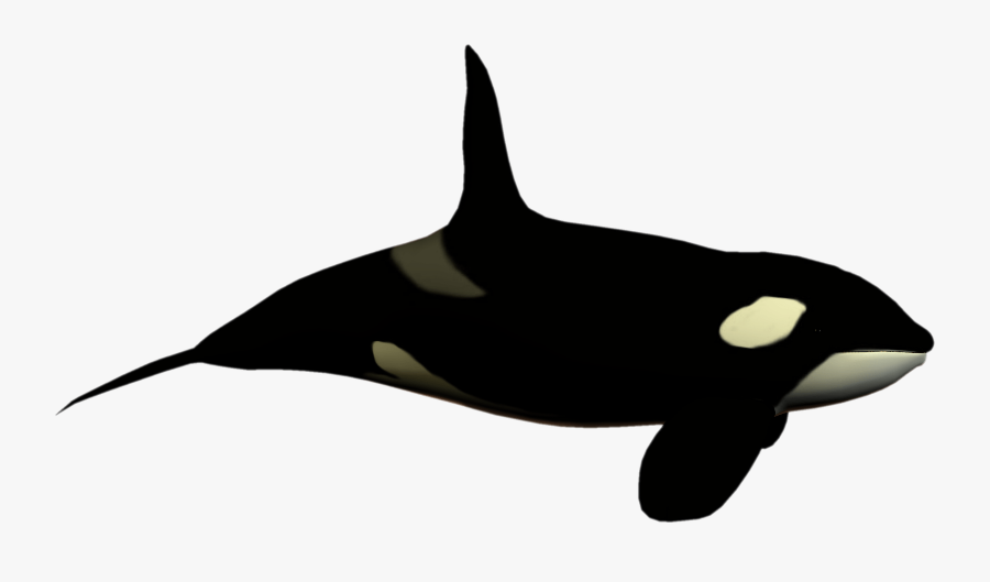 Seaworld Cliparts - Sea World Clip Art, Transparent Clipart