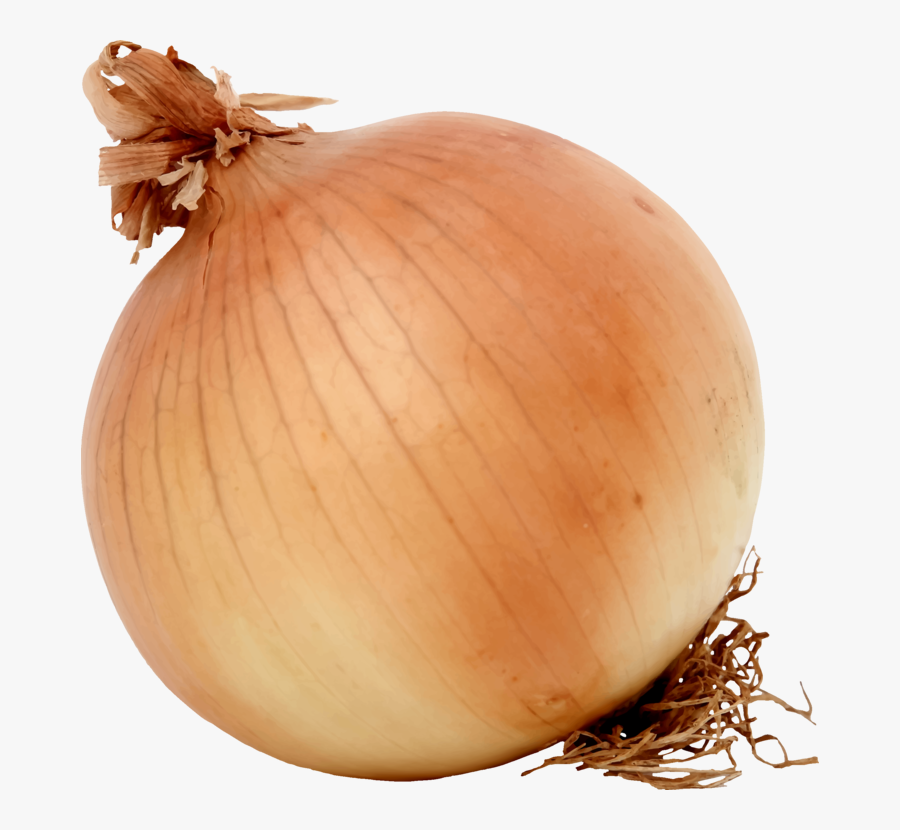 Onion,food,winter Squash - Onion Clipart, Transparent Clipart