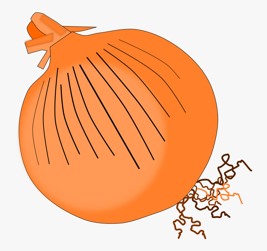 Onion Clipart, Transparent Clipart