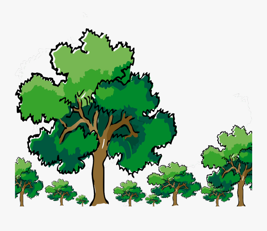 Oak Tree Clipart 20, - Narra Clipart, Transparent Clipart