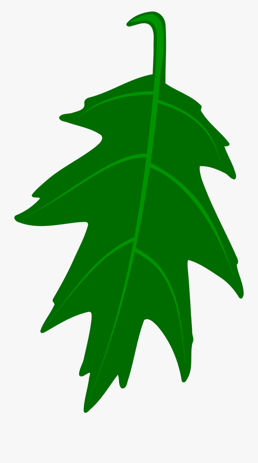 Clip Art Oak Tree Leaves Clip Art - Tree Leaves Vector Png, Transparent Clipart