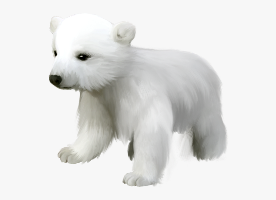 Polar Bear Clip Art Polar Bears And Clipartix - Polar Bear Baby Clip Art, Transparent Clipart