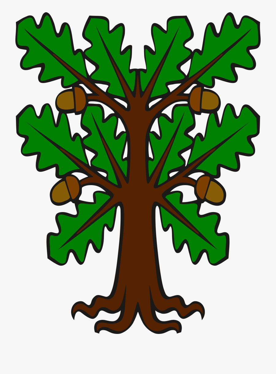 Clipart - Stylised Oak - Oak Tree Clipart Acorn, Transparent Clipart