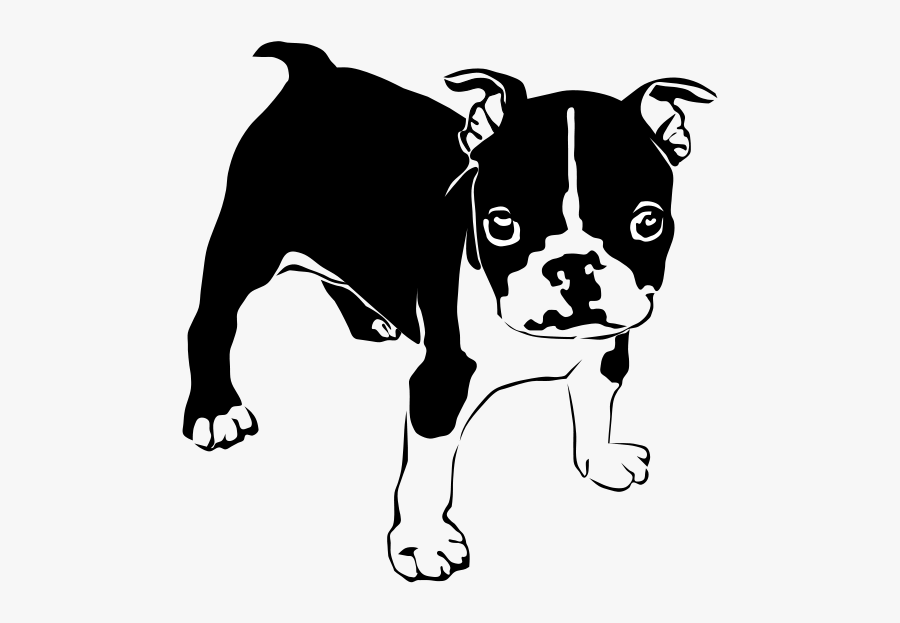 Transparent Bulldog Clip Art - Hd Boston Terrier Clipart Png, Transparent Clipart