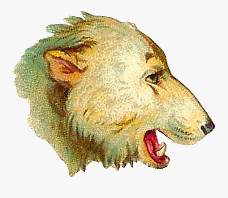 Digital Polar Bear Head Clip Art - Lion, Transparent Clipart
