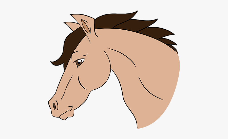 Cartoon Horse Head Drawing , Free Transparent Clipart - ClipartKey