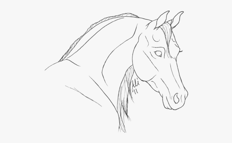 Coloring Pages Of Arabian Horse Heads, Transparent Clipart