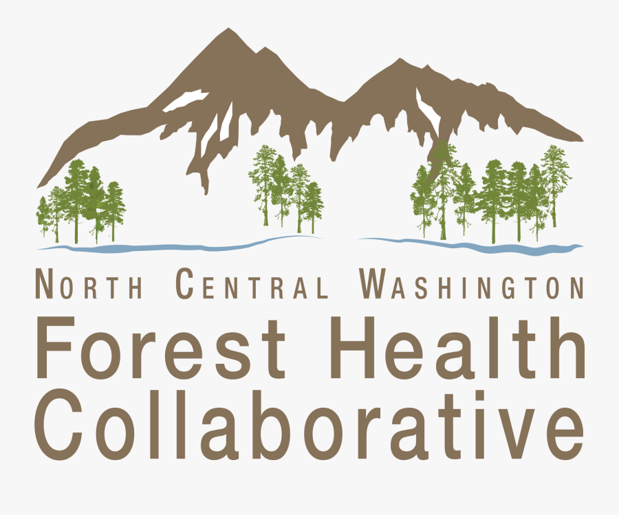 Transparent Grassy Hill Clipart - North Central Washington Forest Health Collaborative, Transparent Clipart