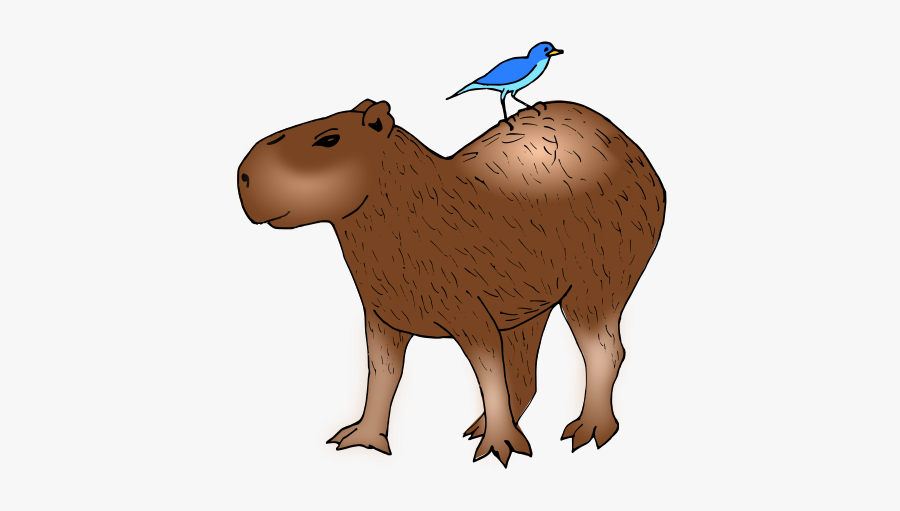 Capybara Relaxation Clipart