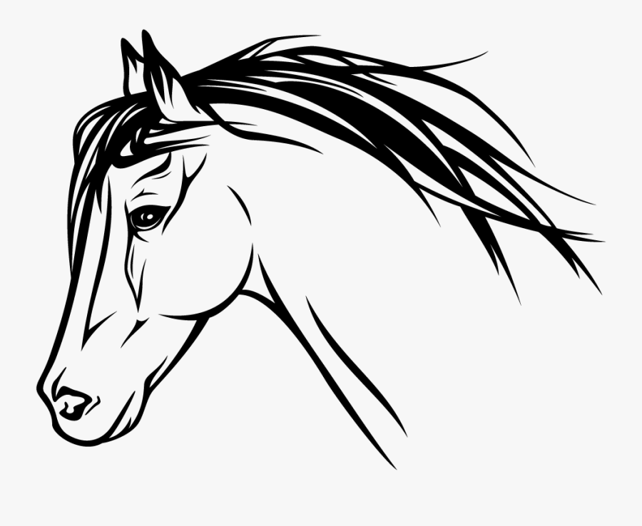 Horse Head Profile Drawing, Transparent Clipart