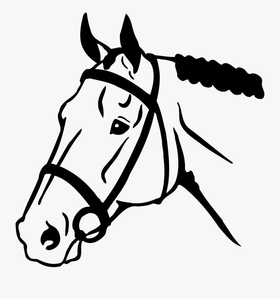 Horse Head Png Clipart - Horse Face Clip Art, Transparent Clipart