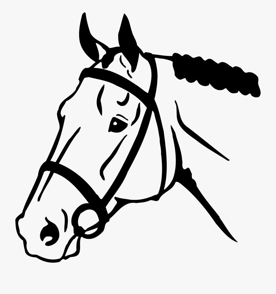 Horse Head Png Clipart - Horse Face Clip Art , Free Transparent Clipart ...