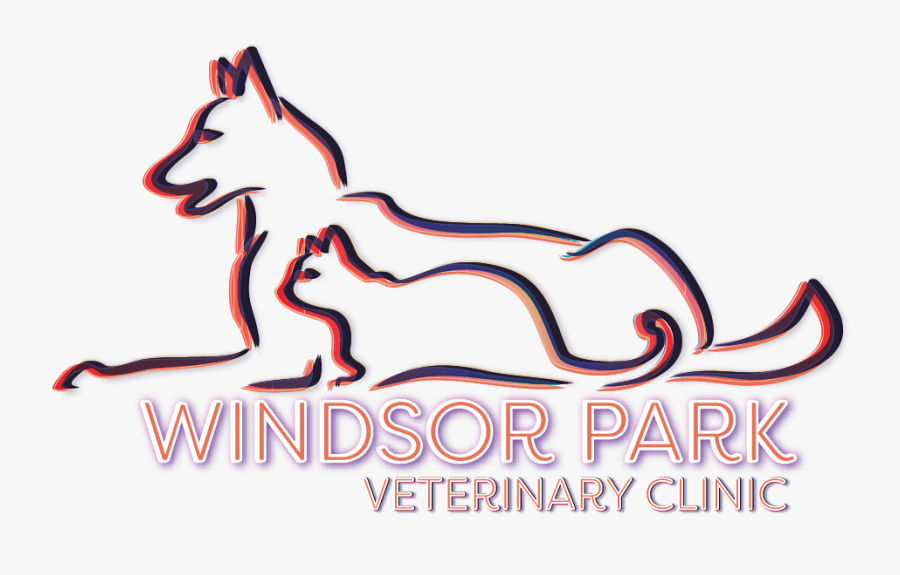 Fairborn Clipart Animal Clinic - Windsor Park Veterinary Clinic, Transparent Clipart