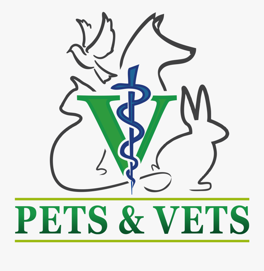 Pets And Vets Animal Clinic - Islamic Quotes About Wasting Time, Transparent Clipart