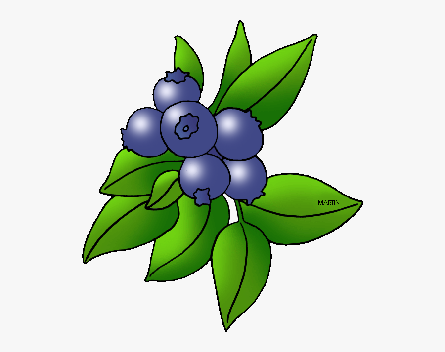 Image Of Blueberry Clipartoons - Blueberry Clip Art, Transparent Clipart