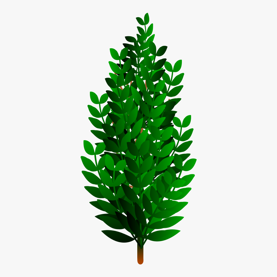 Bush Clipart Tree Hd - Arbustos Vector Png, Transparent Clipart