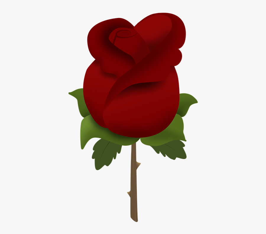 Red Rose Clipart Rose Bush - Imágenes De Rosa En Caricatura, Transparent Clipart