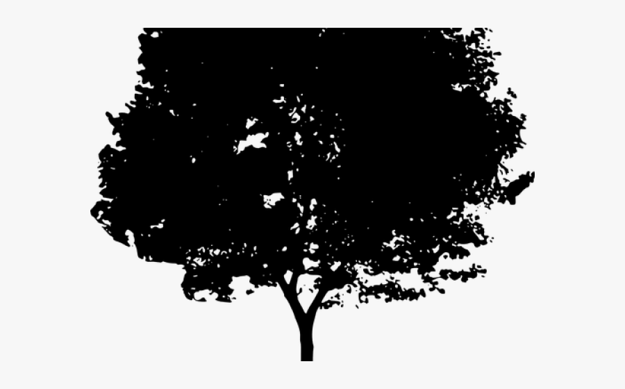 Shrub Bushes Clipart Old Tree - Qi Gong, Transparent Clipart
