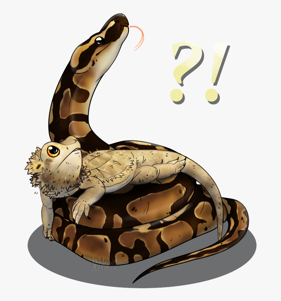 Clip Art Boa Constrictor Cartoon - Kemp's Ridley Sea Turtle, Transparent Clipart