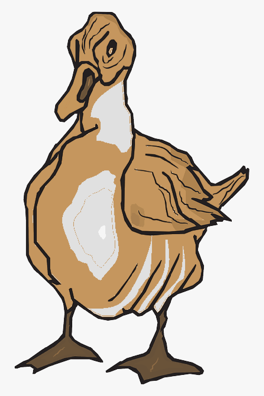 Duck Clip Art Goose Portable Network Graphics Vector - Duck, Transparent Clipart