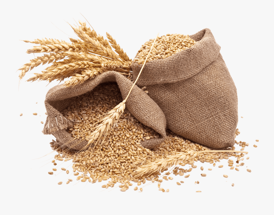 Grains - Source Of Energy Giving Food, Transparent Clipart