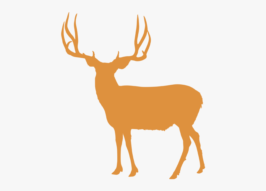 Hunts Antler Canyon Outfitters - Mule Deer Head Silhouette, Transparent Clipart