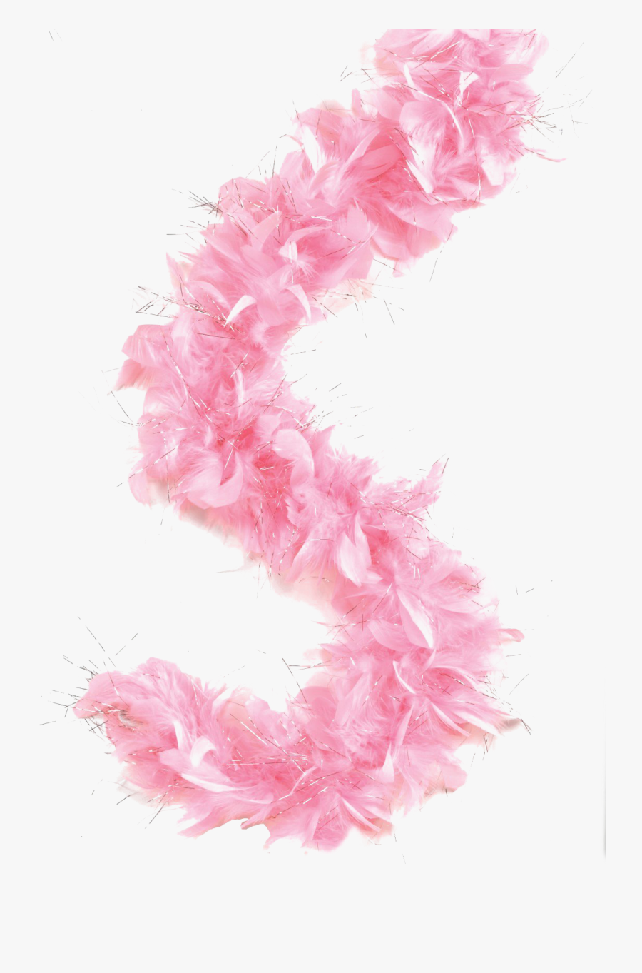 Transparent Boa Png - Feather Boa Png, Transparent Clipart