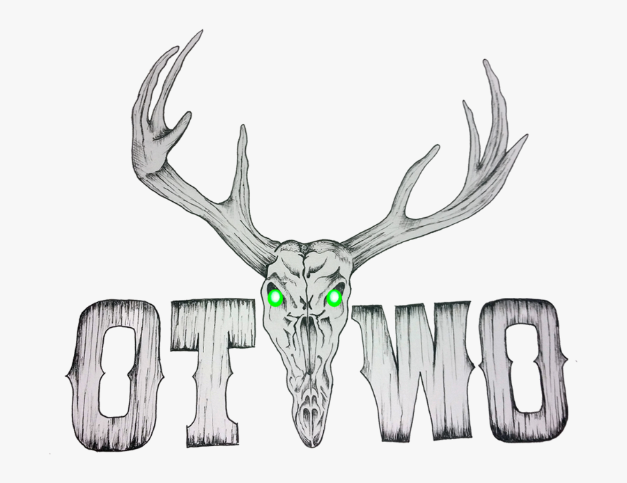 Transparent Whitetail Deer Png - Sketch, Transparent Clipart