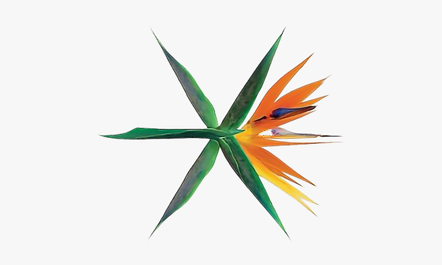 #exo #logo #ko Ko Bop #comeback #png - Exo The War The 4th Album Album, Transparent Clipart