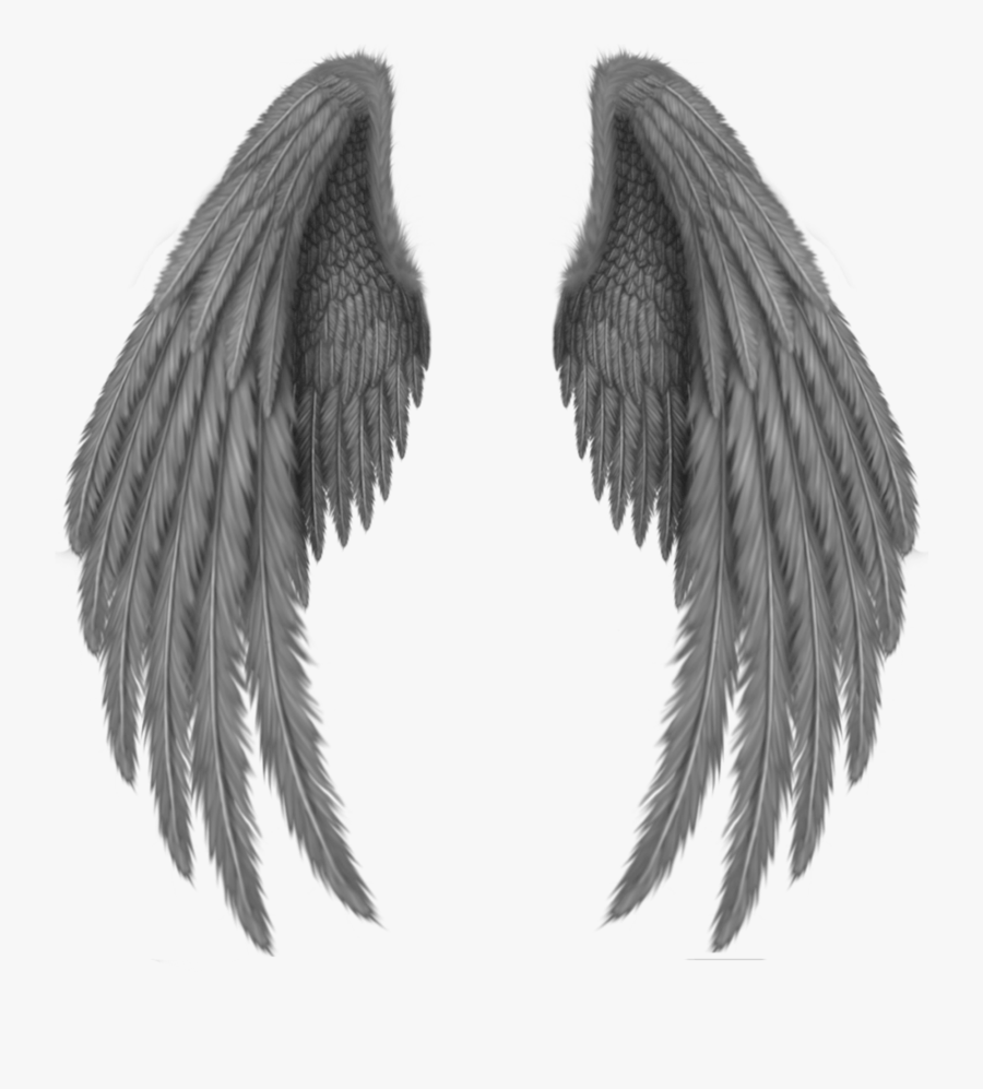 Black Wings Png - Big Dark Angel Wings , Free Transparent Clipart