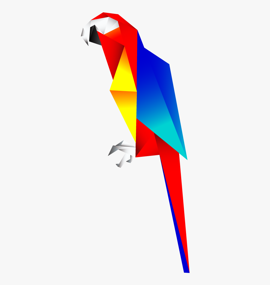Scarlet Macaw Clipart Transparent - Illustration Macaw Png, Transparent Clipart