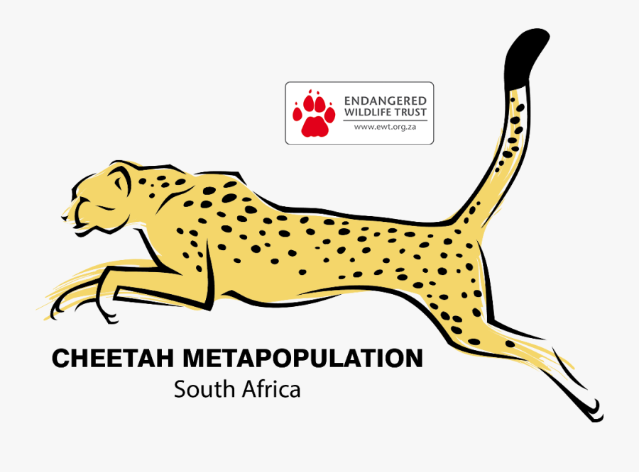 Logo Png Home Sa - Endangered Cheetah In South Africa, Transparent Clipart
