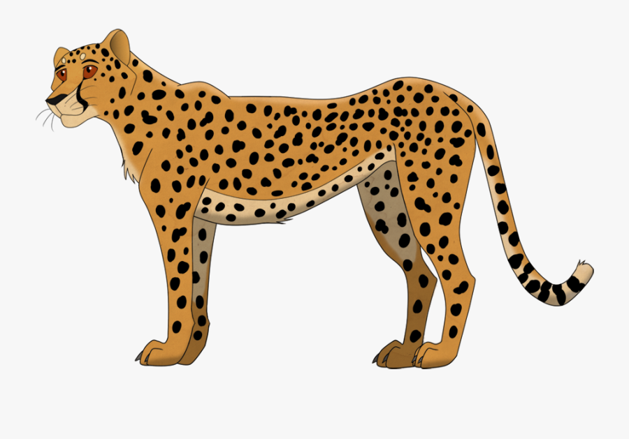 Cheetah , Free Transparent Clipart - ClipartKey