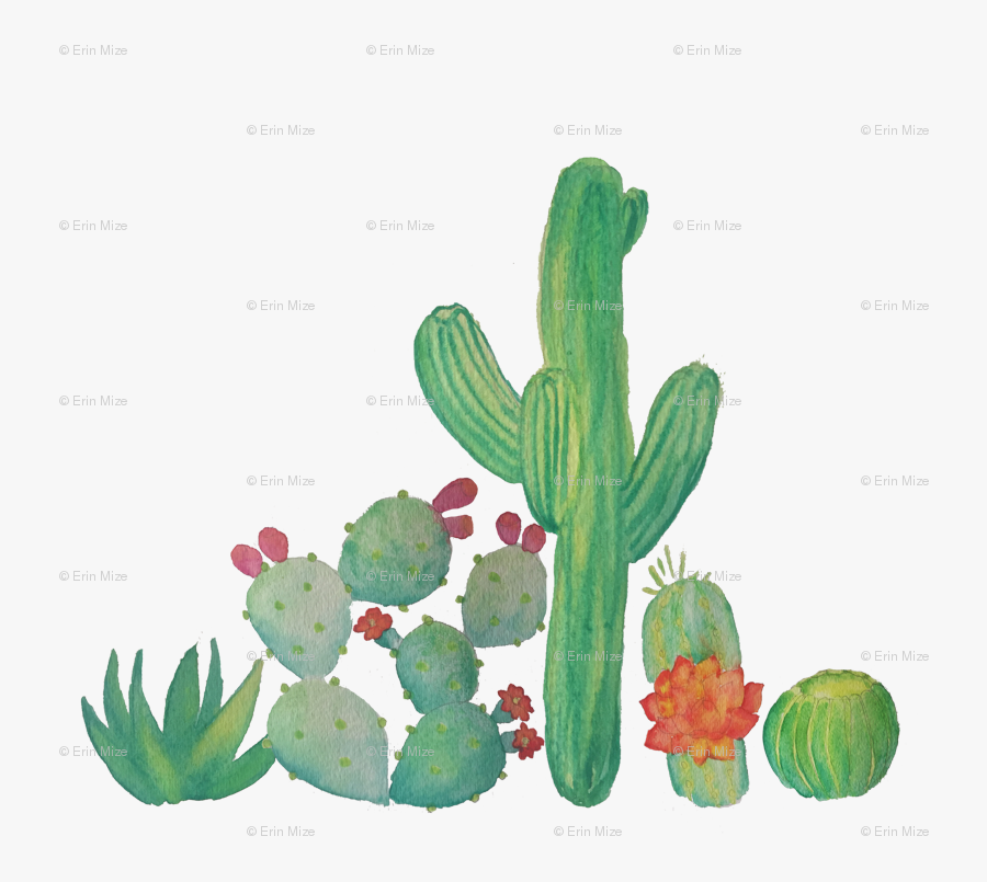 Download Watercolor Cactus Cactus Png Clipart , Free Transparent ...