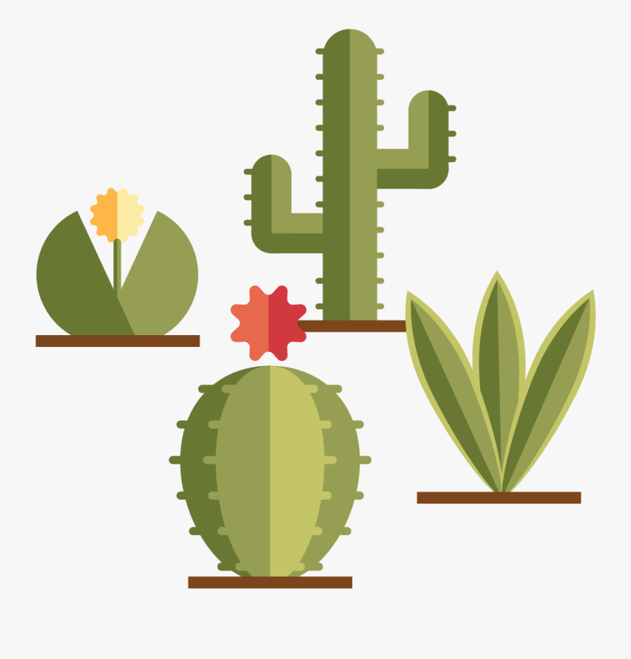 Become Part Of A Community Of Practitioners - Hedgehog Cactus, Transparent Clipart