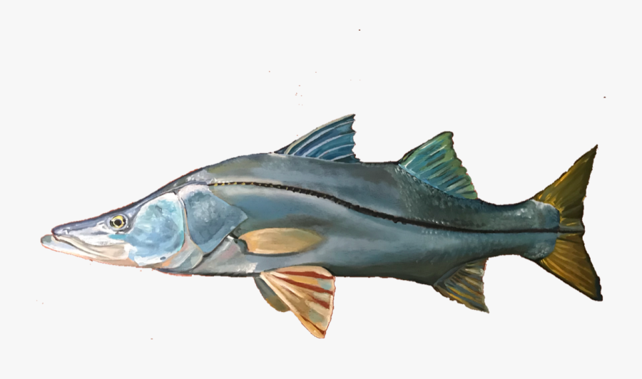 Snook Drawing Marlin - Pacific Sturgeon, Transparent Clipart