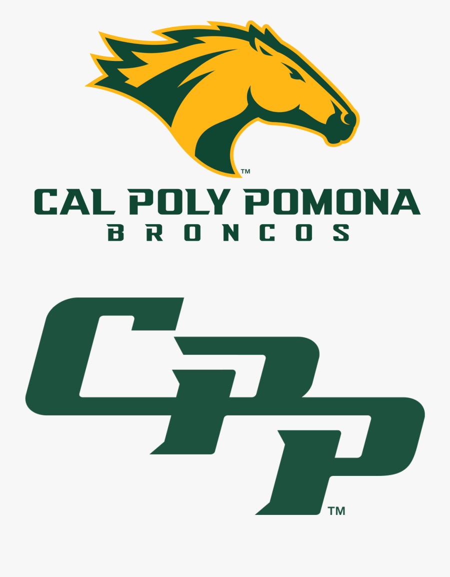 Broncos Vector Stencil - Cal Poly Pomona Broncos, Transparent Clipart