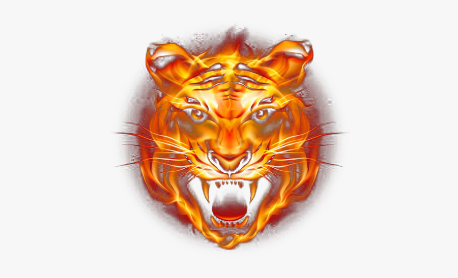 Tiger Fire Fierce Png Download Free Clipart - Tiger Face Png Hd, Transparent Clipart