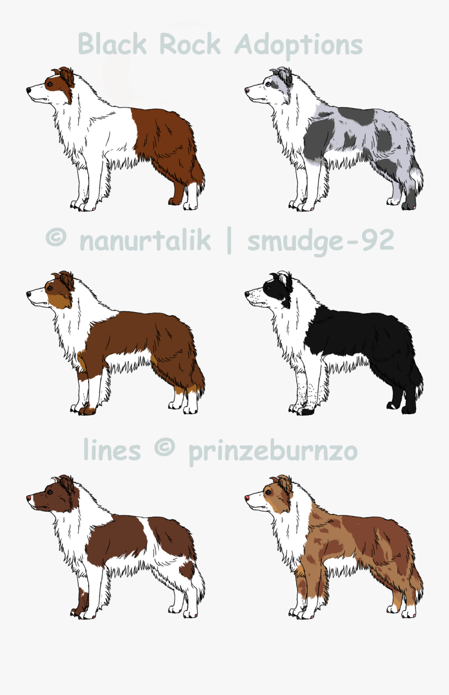 Blue Collie Breed Dog Companion Merle Border Clipart - Mane , Free ...