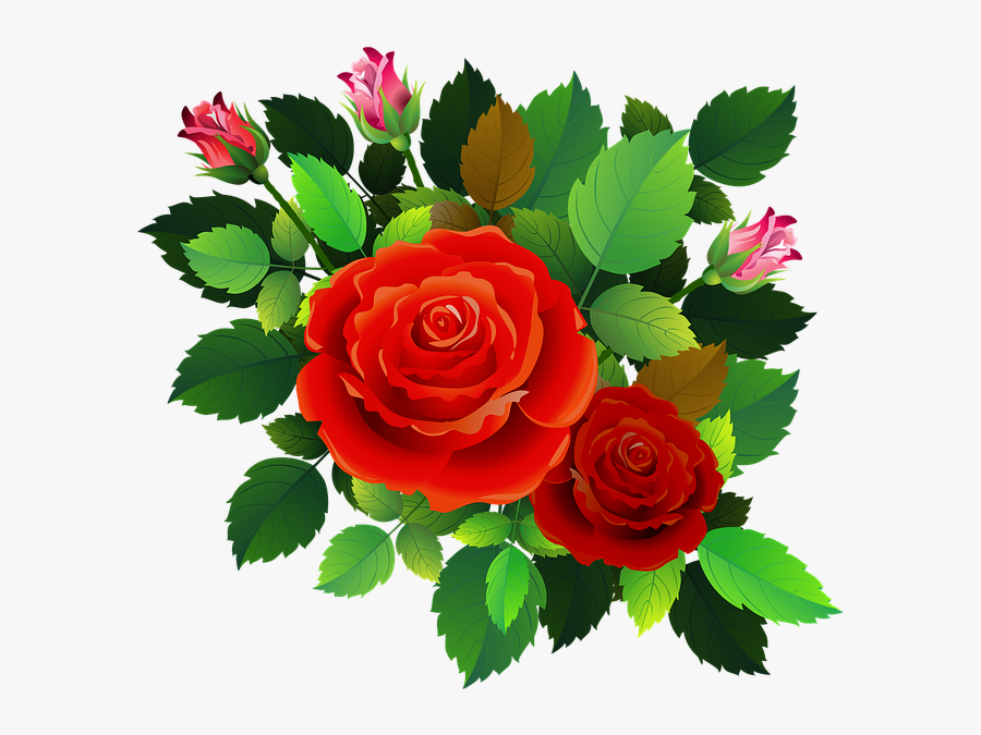 Roses Flowers Floral Romantic Rose Bush Bouquet - Garden Roses, Transparent Clipart