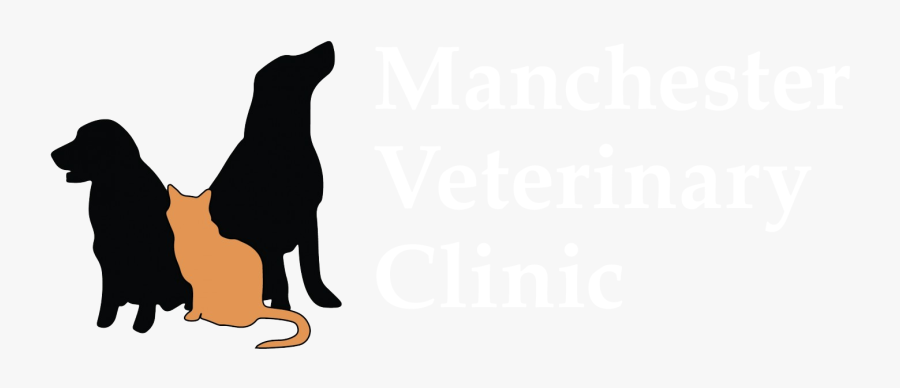 Trusted Vets For Your Pets - Cat Dog Cartoon Vet, Transparent Clipart
