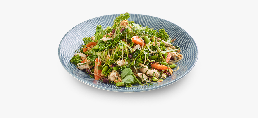 Clip Art Mimosa Salad - Harusame Glass Noodle Salad Wagamama Calories, Transparent Clipart