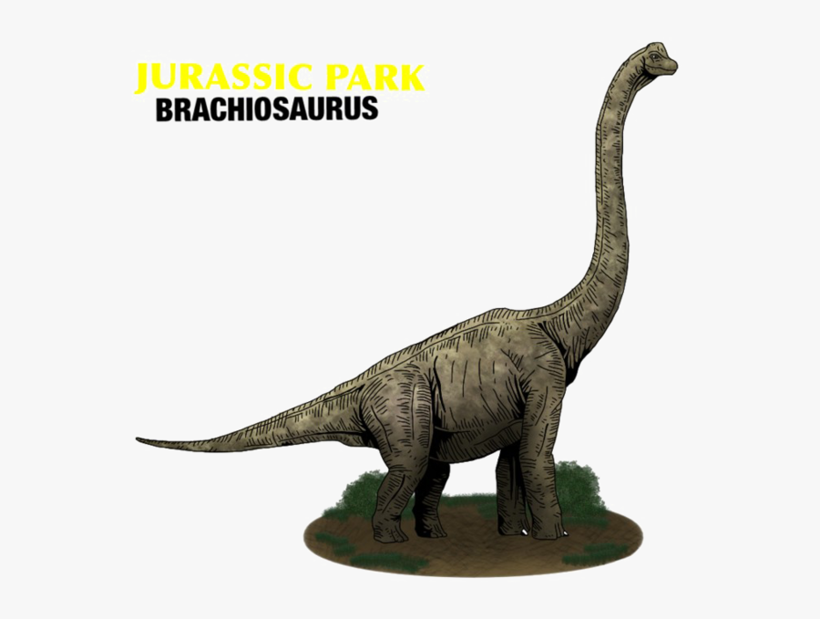 Brachiosaurus Free Download Png Hd - Jurassic World Apatosaurus Dinosaur, Transparent Clipart