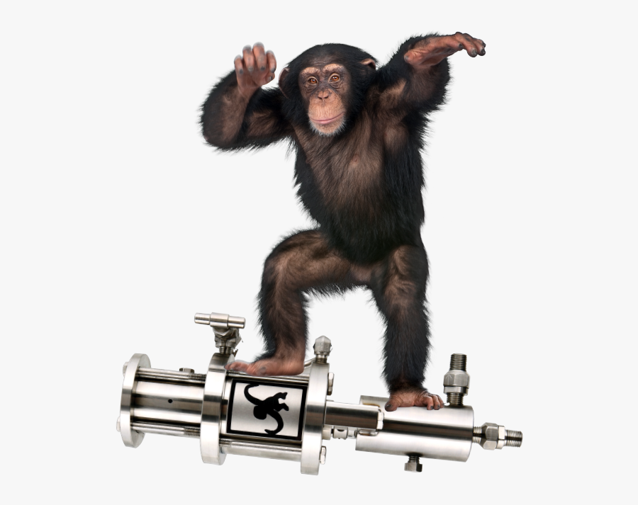 Chimp Drawing Spider Monkey - Monkey Pumps, Transparent Clipart