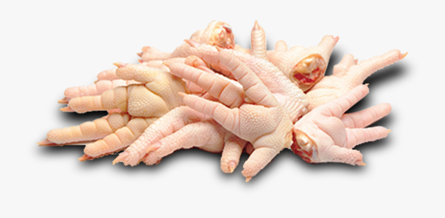 Transparent Pollo Png - Chicken Feet Food Raw, Transparent Clipart