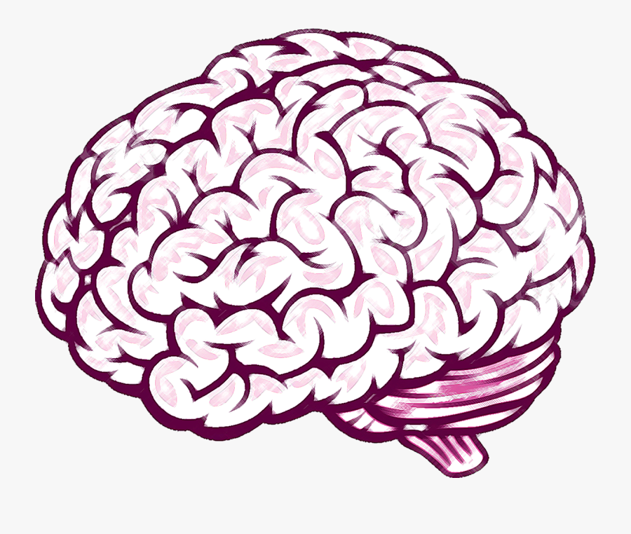 Brain Thinking Clipart For Kids Free Cliparts Transparent - Drawing Of Brain, Transparent Clipart