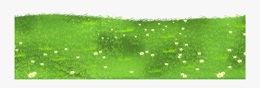 Grass Ground With Daisies Png Clipart - Ground Grass Png , Free ...