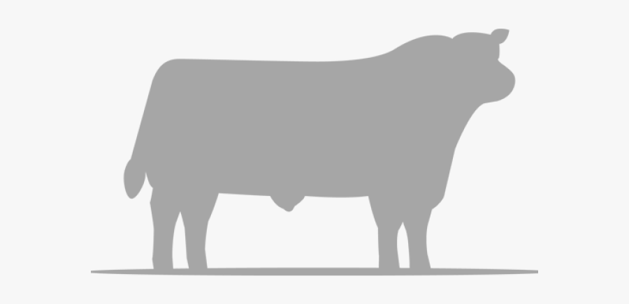 Herd Clipart Angus Cow - Aberdeen Angus Steer Silhouette, Transparent Clipart