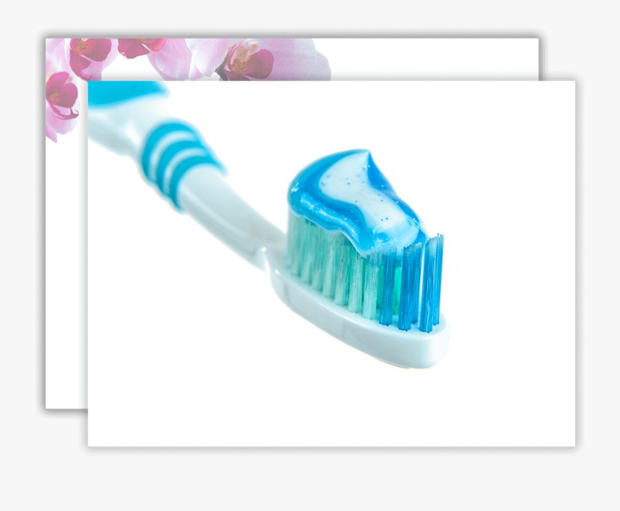 Brushing Techniques - Imagenes De Un Cepillo De Dientes, Transparent Clipart